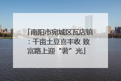 南阳市宛城区瓦店镇：千亩土豆喜丰收 致富路上迎“薯”光